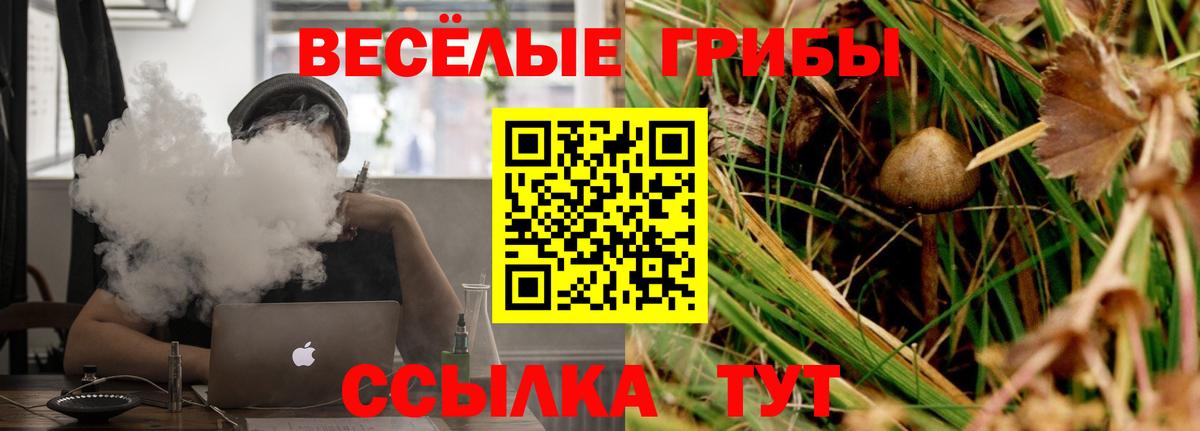 цена наркотик  Галлюциногенные грибы Magic Shrooms  Вход с VPN  Галлюциногенные грибы Psilocybine cubensis  Санкт-Петербург 