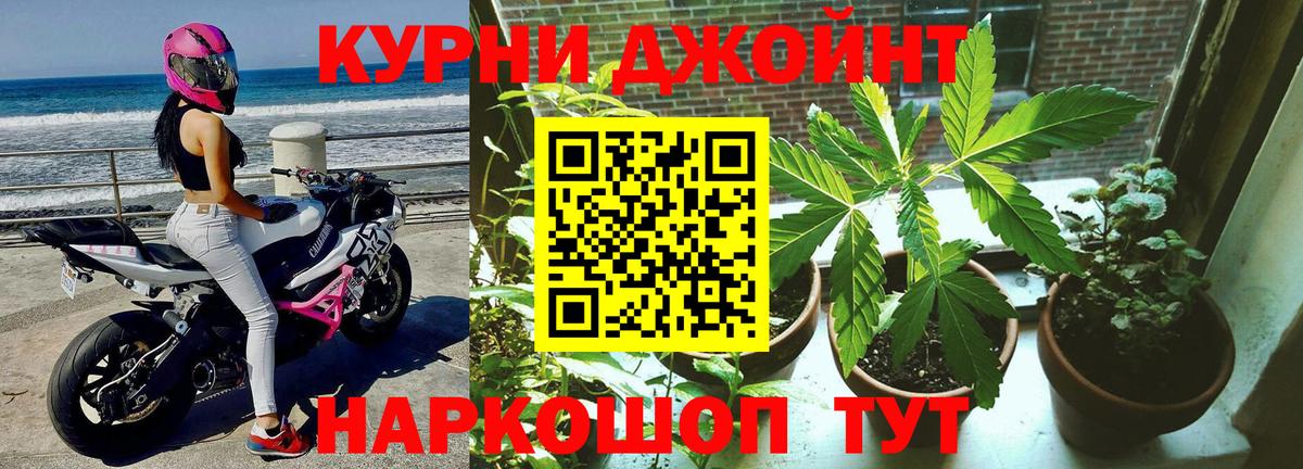 Бошки Шишки Ganja  Бошки марихуана MAZAR  Санкт-Петербург  Марихуана VHQ  Вход с VPN  Каннабис гибрид 